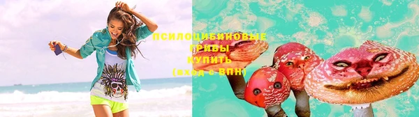 амф Абинск