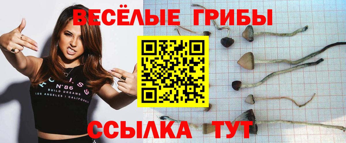 Галлюциногенные грибы мицелий  Вход с VPN  Азнакаево  Галлюциногенные грибы ЛСД 